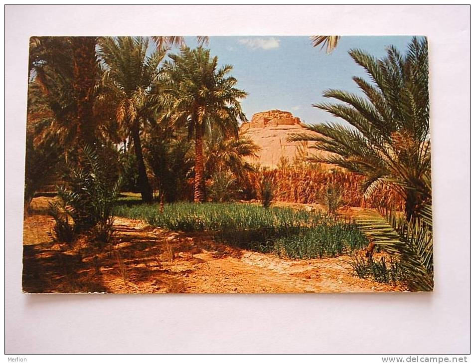 Algerie - EL GOLEA    1960´s  VF  D22025