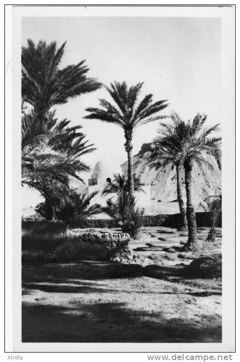 EL GOLEA - 6 - Sidi Cheikh - éd. J. LUSSON