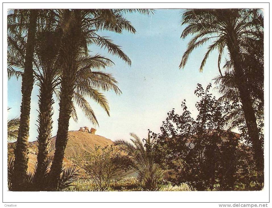 EL GOLEA Caprice de la nature ALGERIE