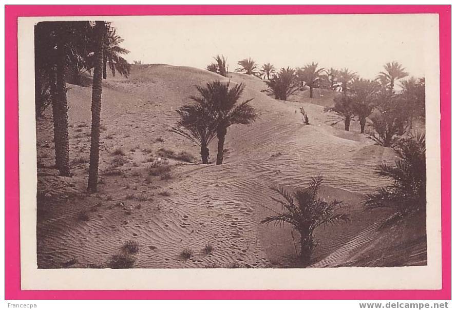 ALGERIE  1202   EL GOLEA  Dunes de sable envahissant la Palmeraie