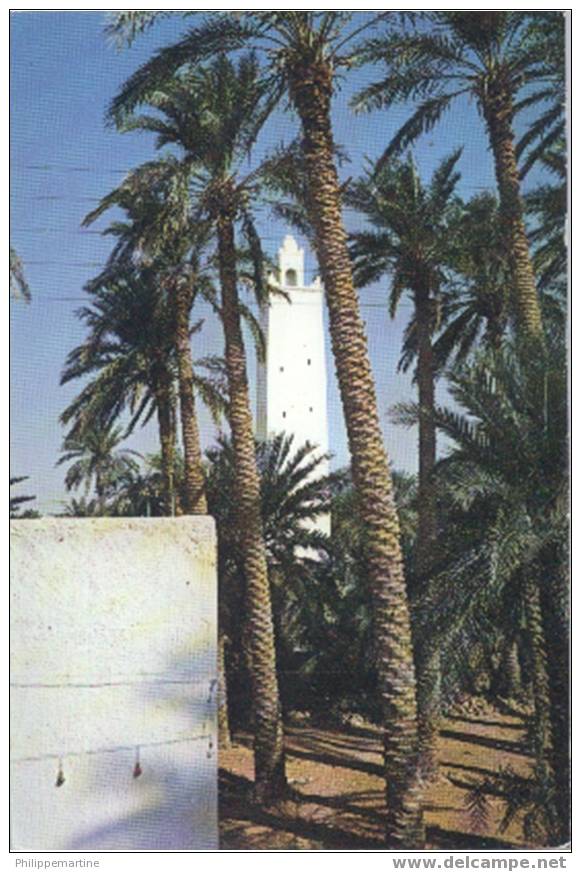 Algérie - El Golea  La Mosquée