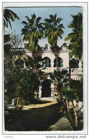 Afrique >  Algérie - El Goléa - Hôtel Dal Piaz - Aïssa 6