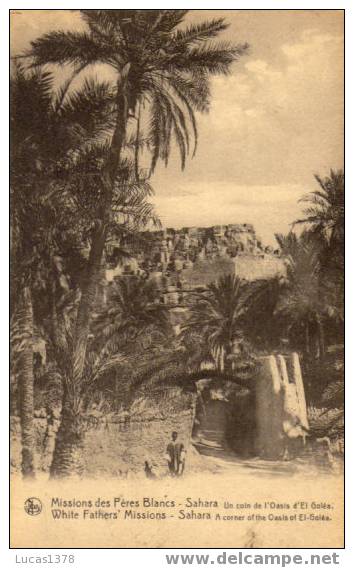 MISSION DES PERES BLANCS / SAHARA / UN COIN DE L OASIS D EL GOLEA