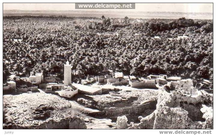 algérie - El Golea - vue générale de l'oasis