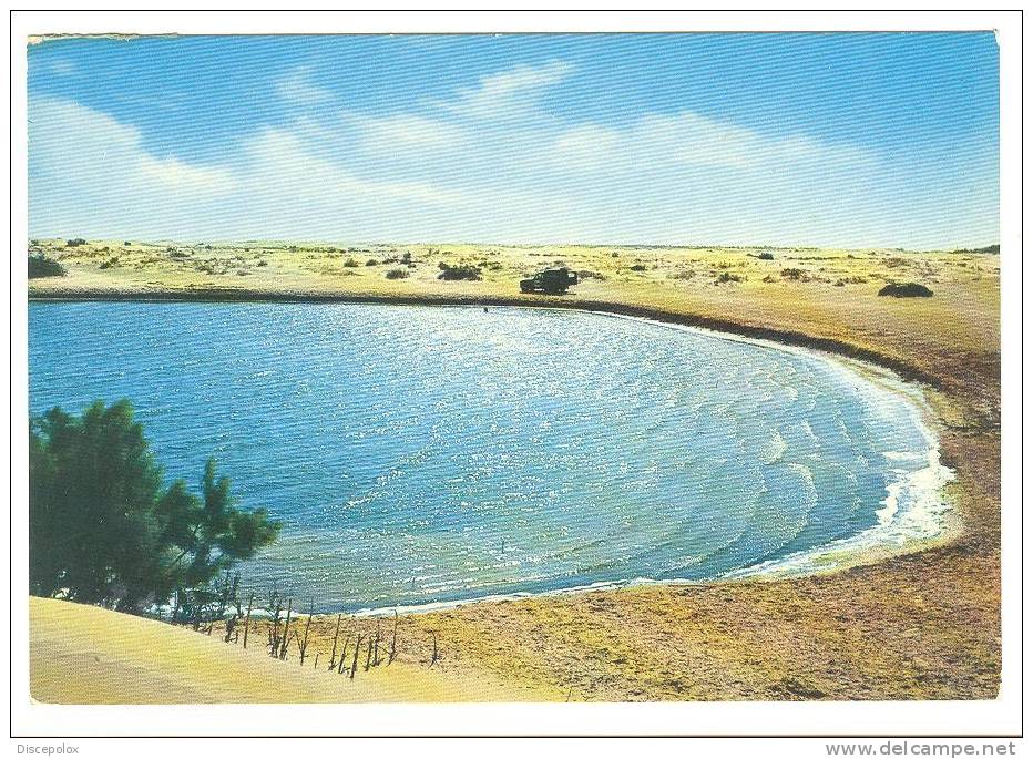 B3057 Algerie - Environs de Touggourt - Temacine / non viaggiata