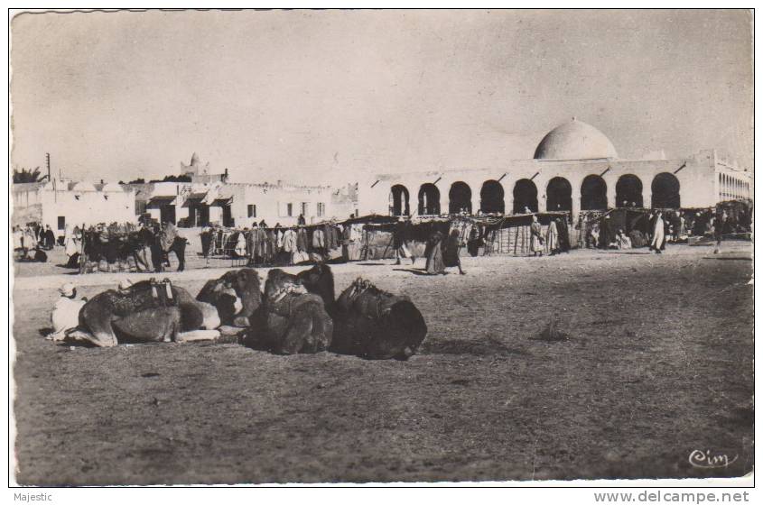 ALGERIE - TOUGGOURT  -SUR LE MARCHE