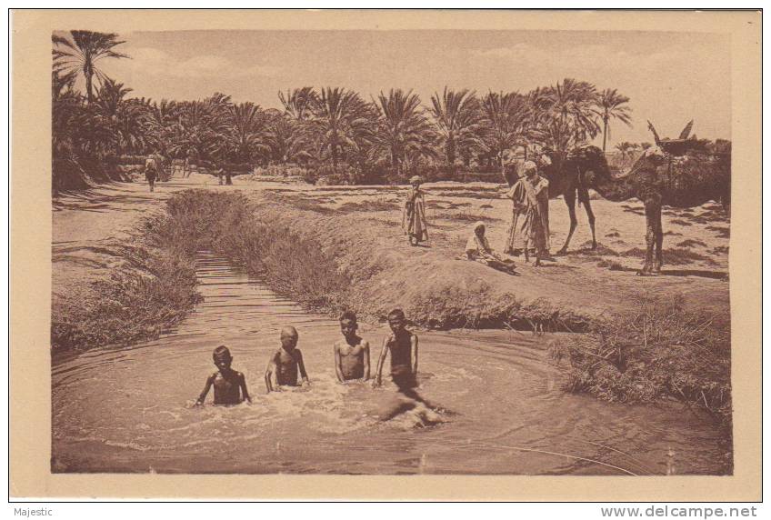 ALGERIE - TOUGGOURT  -  DANS LES SEGUIAS DE L'OASIS