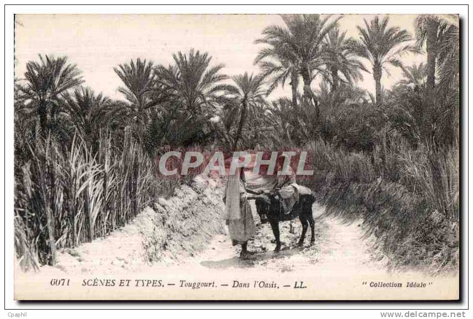 CPA Scenes et Types Touggourt Dans I Oasis Ane Donkey