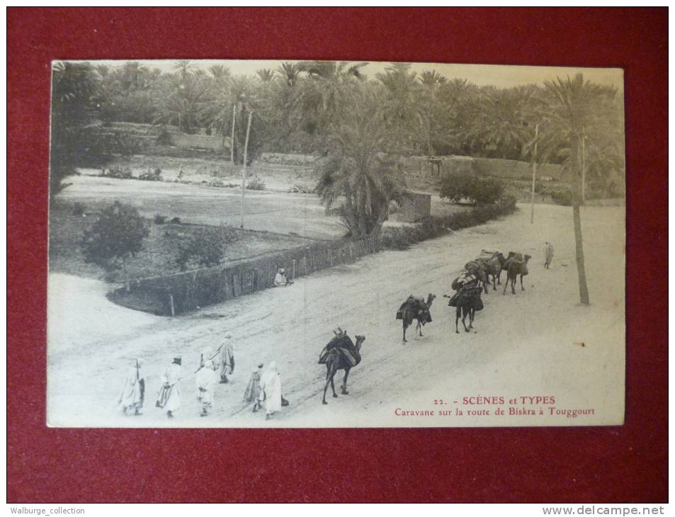 Algérie  Caravane sur la route de Biskra à Touggourt (A2)