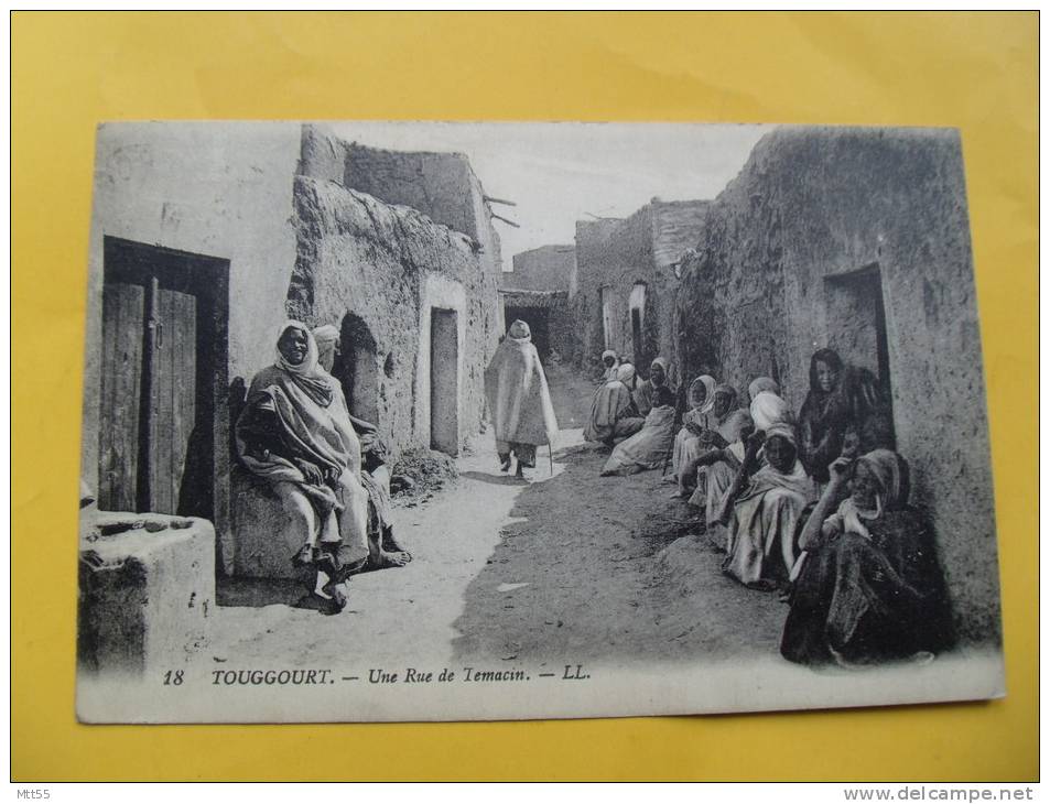 touggourt  animation