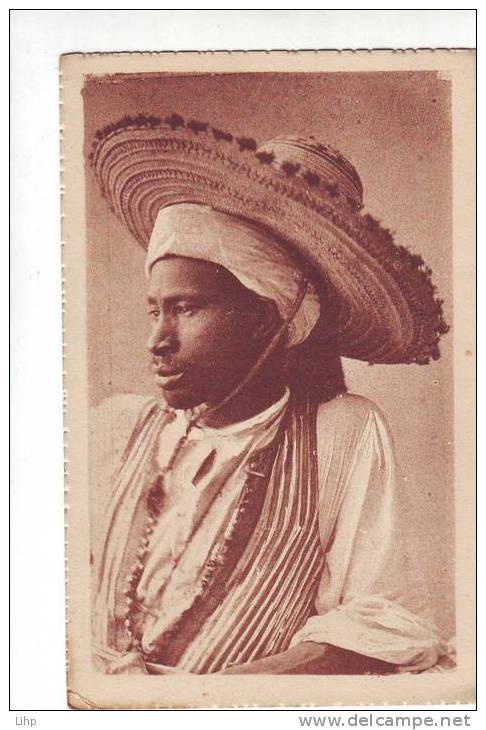 lot  222 CPA negre de touggourt