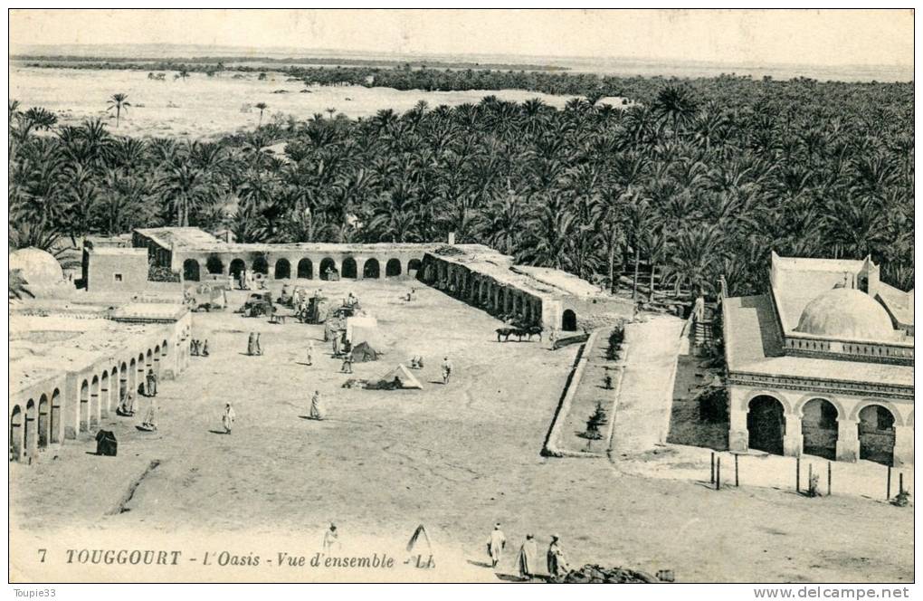 Touggourt l'oasis vue d'ensemble