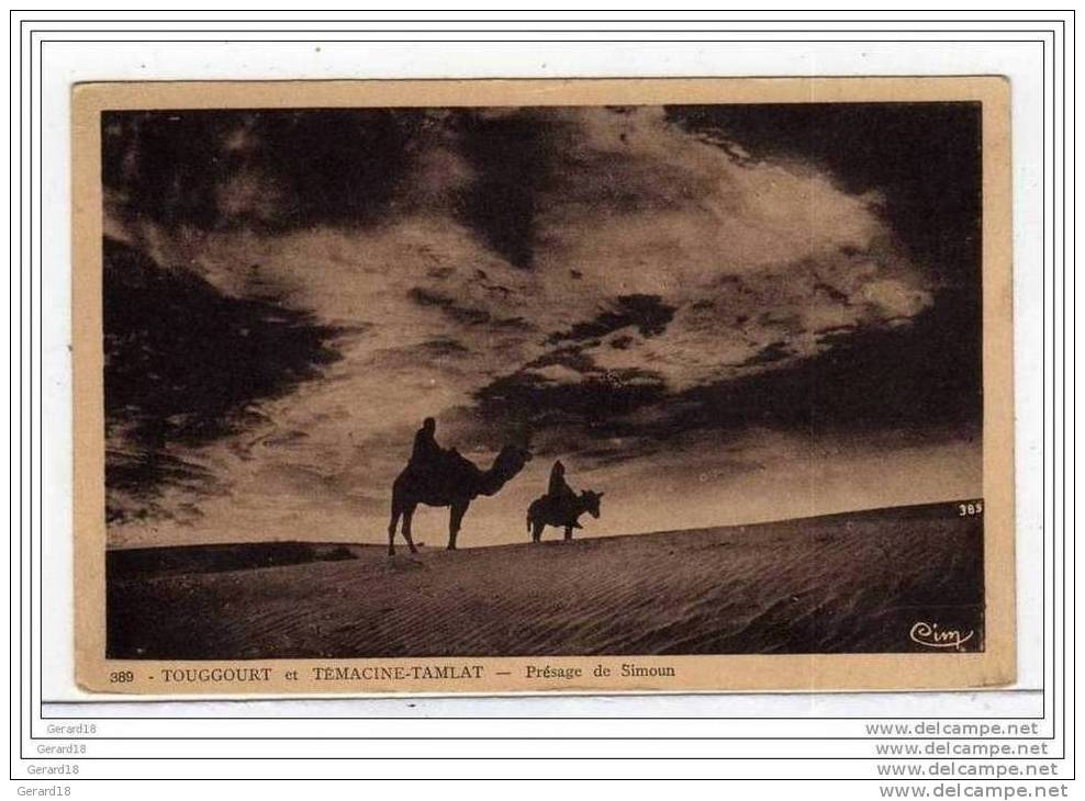 (algérie) TOUGGOURT et TEMACINE-TAMLAT Présage de Simoun.