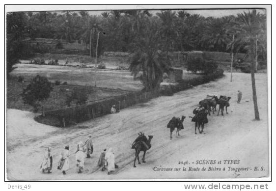 CPA ALGERIE scènes et types  caravane chameaux touggourt