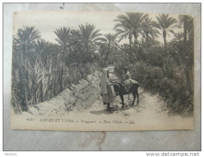 Algerie Algeria - Scenes et Types - Touggourt  Dans l'Oasis - donkey ane esel   D102466