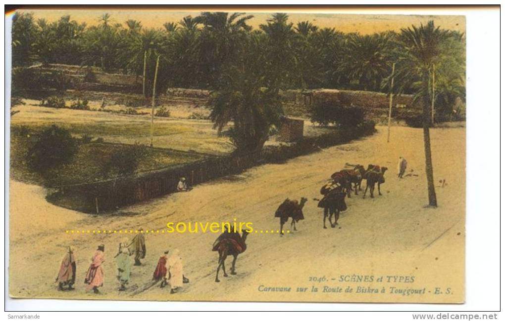 CPA  ALGERIE   Scénes et Types    Caravane sur la route de Biskra à Touggourt ( scans recto verso )