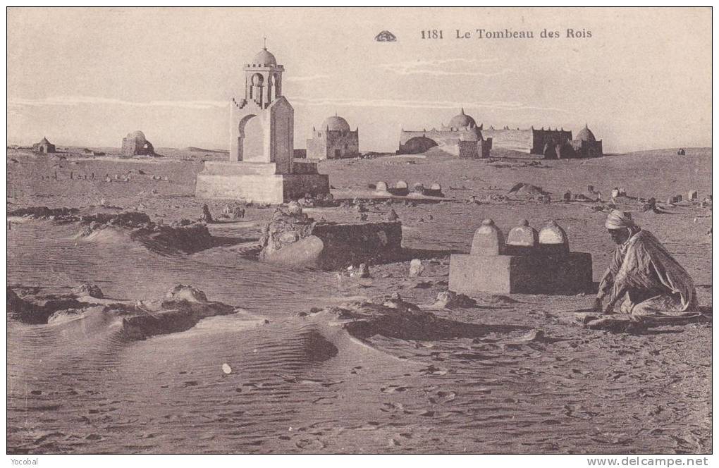 cp , ALGÉRIE , TOUGGOURT , Le Tombeau des Rois