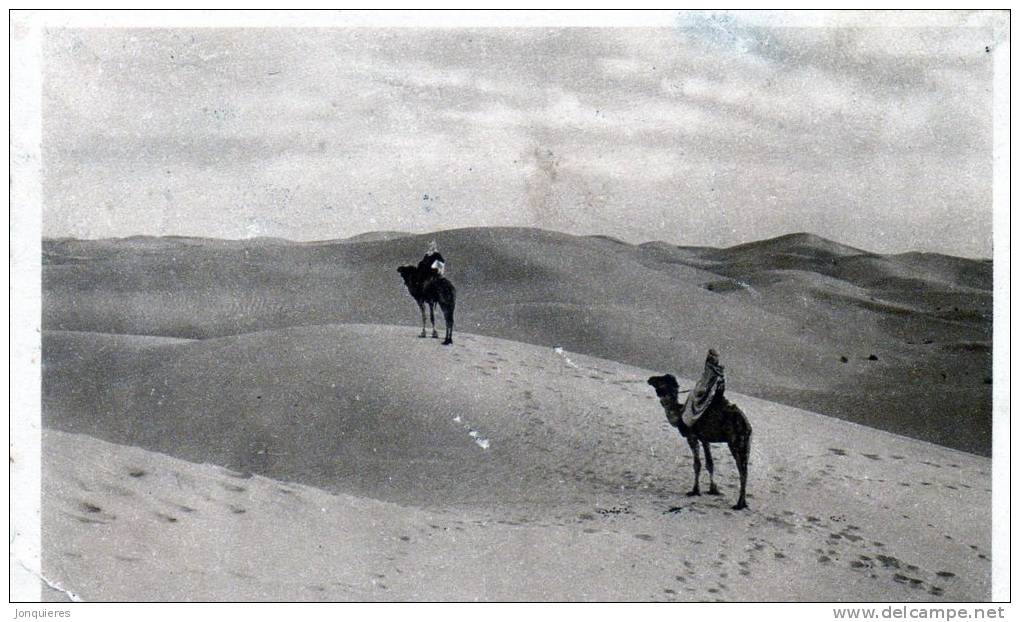 TOUGGOURT La mer de sable.