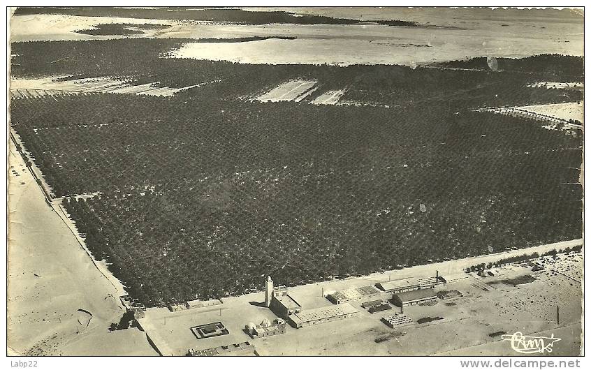 TOUGGOURT. CONSTANTINE. VUE AERIENNE