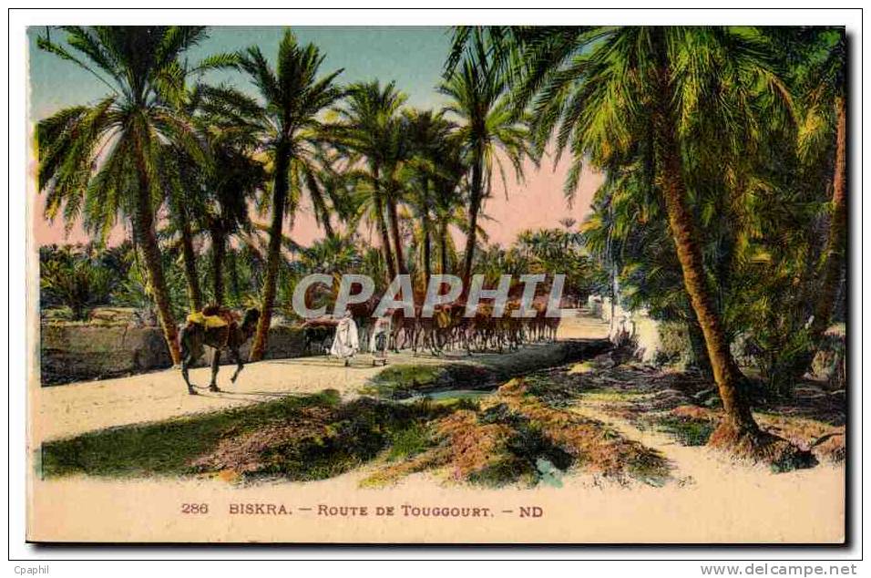 Algerie Biskra Constantine CPA Route de Touggourt