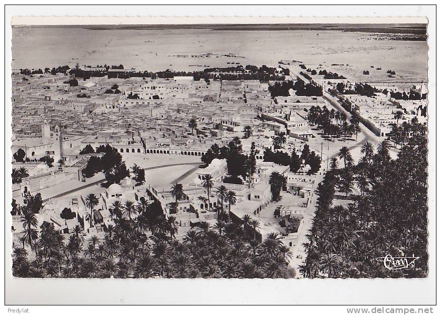 TOUGGOURT  VUE AERIENNE