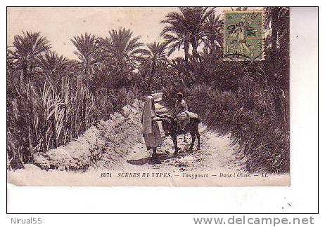 scènes et types TOUGGOURT dans l'oasis animation