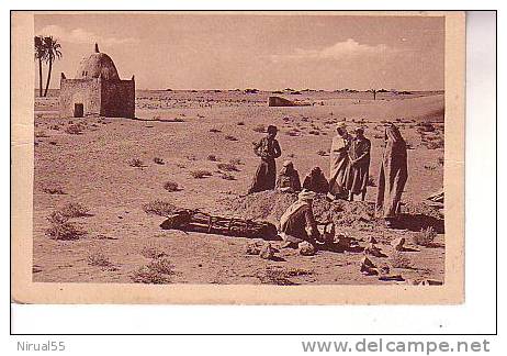 TOUGGOURT Funérailles indigènes L'inhumation