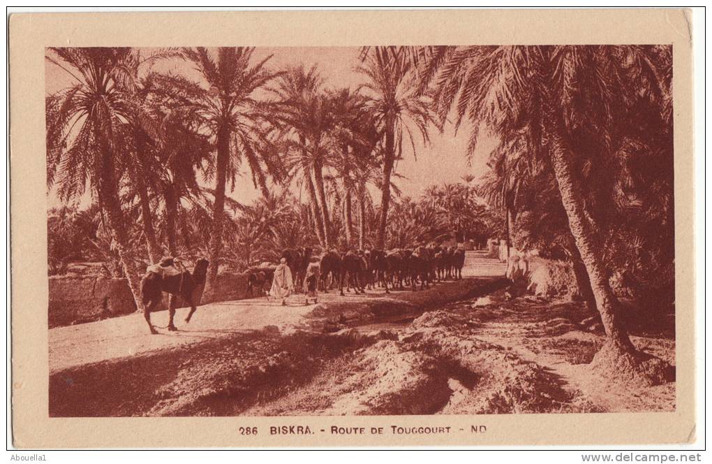 Route de Touggourt (très vieille carte )