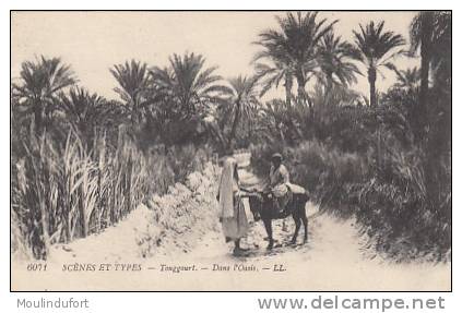 algerie touggourt  dans l'oasis ll 6071 animée