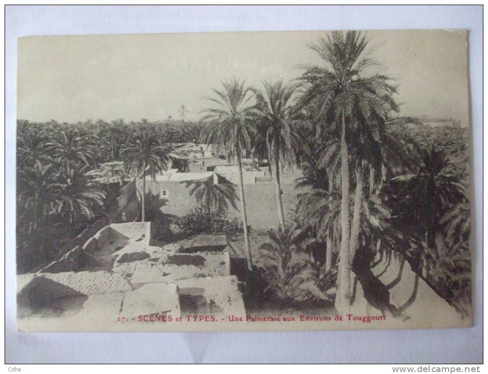 ALGERIE - AL -  SCENES ET TYPES -  UNE PALMERAIE AUX ENVIRONS DE TOUGGOURT