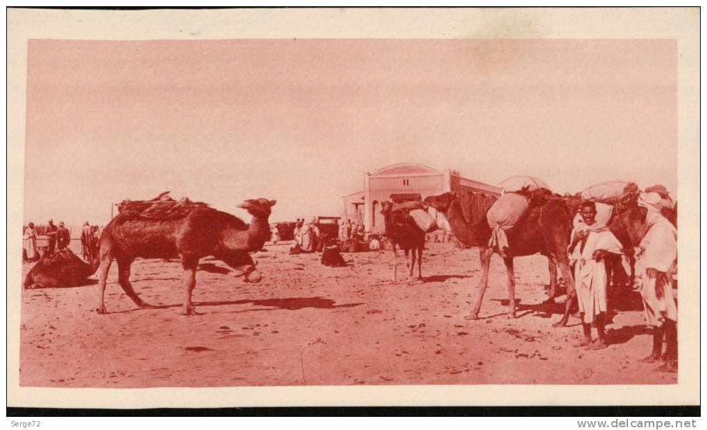 carte sépia L´ALGERIE  Convoi de Chameaux en Gare de Touggourt