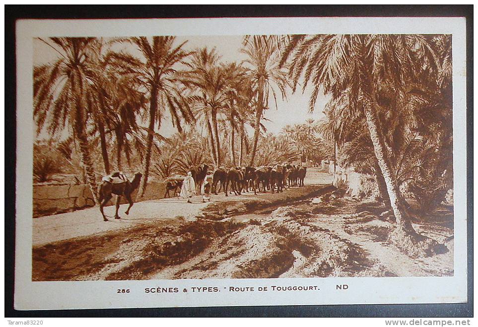 CPA CARTE POSTALE ANCIENNE ALGERIE SCENES ET TYPES - ROUTE DE TOUGGOURT ANIMEE