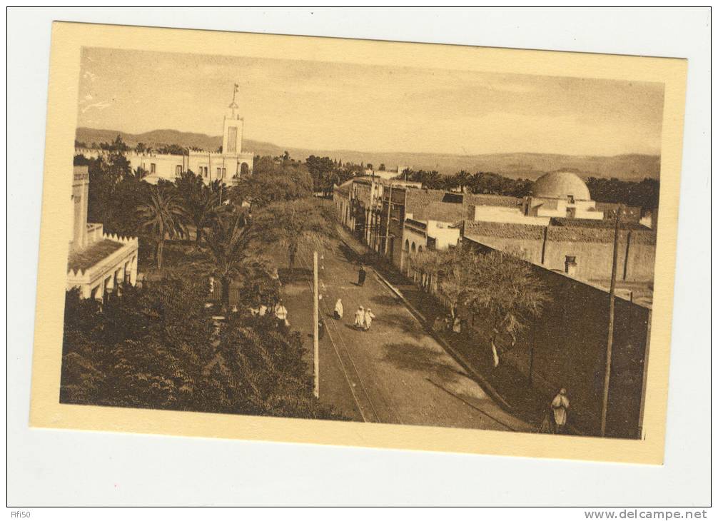 BISKRA  Route de Biskra à Touggourt