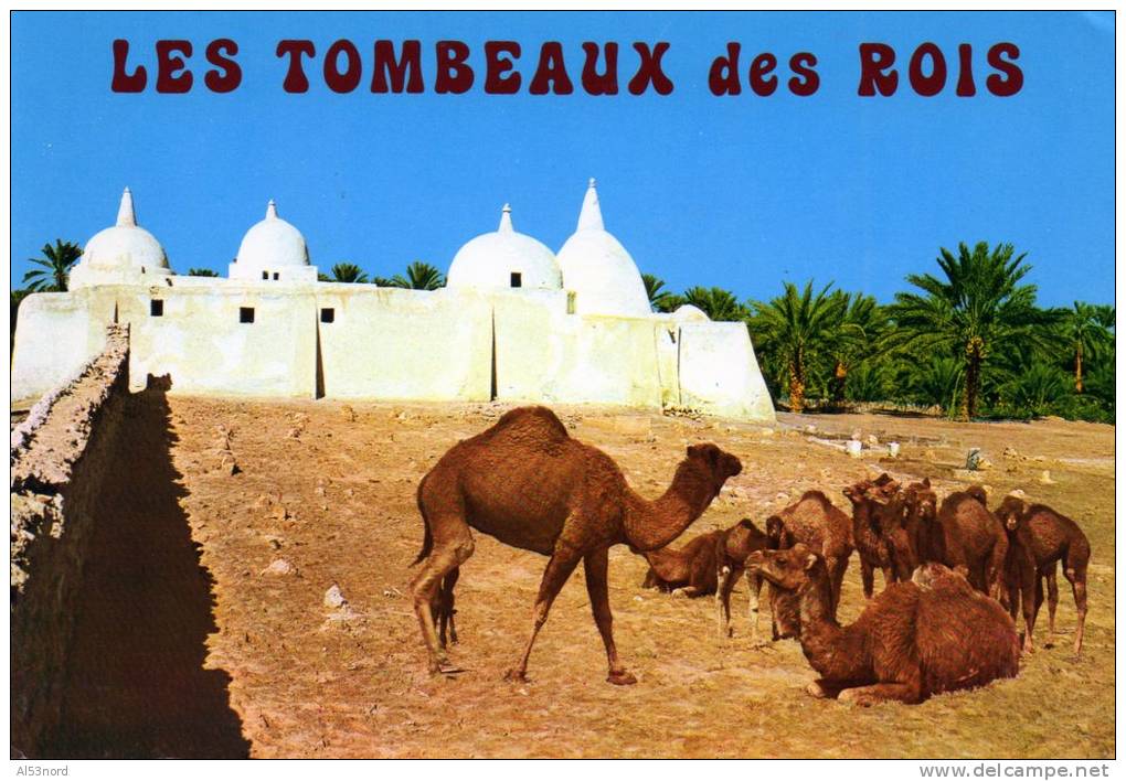 ALGERIE.   TOUGGOURT.  Wilaya de Ouargla  ( les tombeaux des rois )