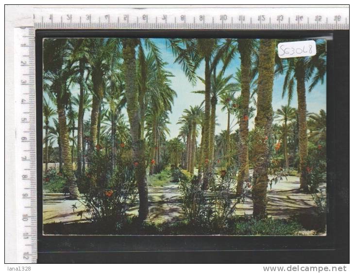 S63048 ALGERIA TOUGGOURT PLACE DE LA LIBERTE