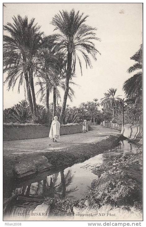 ALGERIE -   BISKRA  - Route de Touggourt