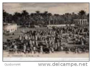 Carte de TOUGGOURT LE MARCHE