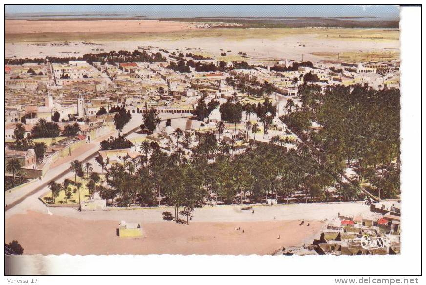 touggourt  vue aerienne