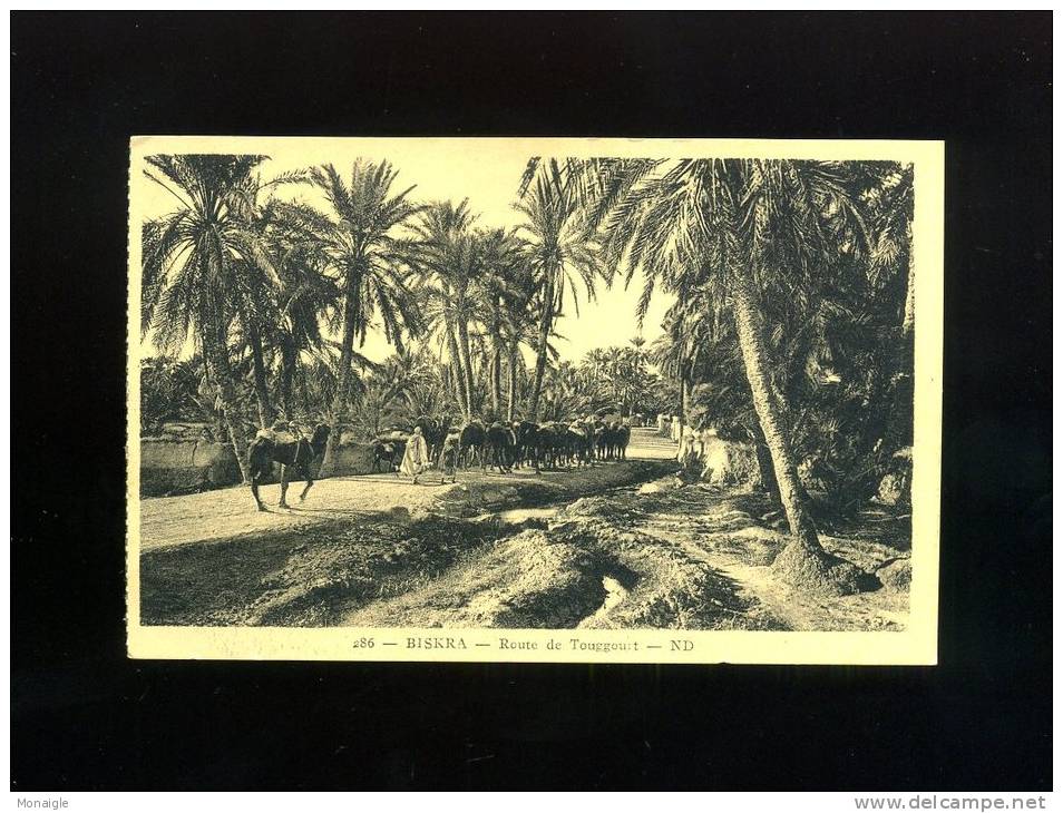 CPA ALGERIE  biskra route de touggourt  ND  animée