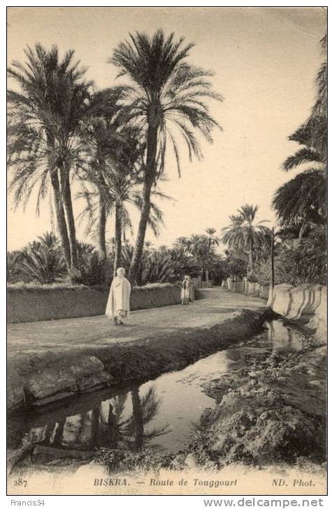 CPA - Biskra - route de Touggourt