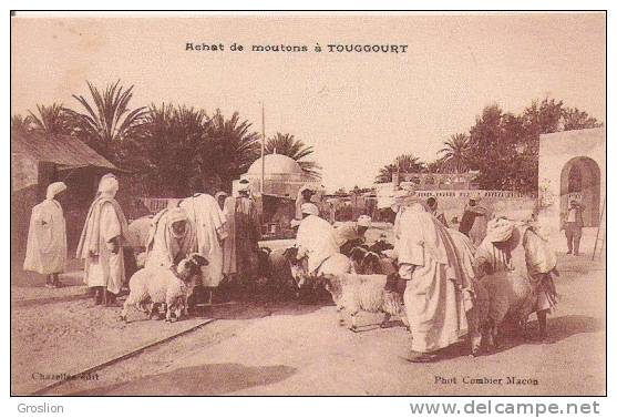 ACHAT DE MOUTONS A TOUGGOURT (BELLE ANIMATION)