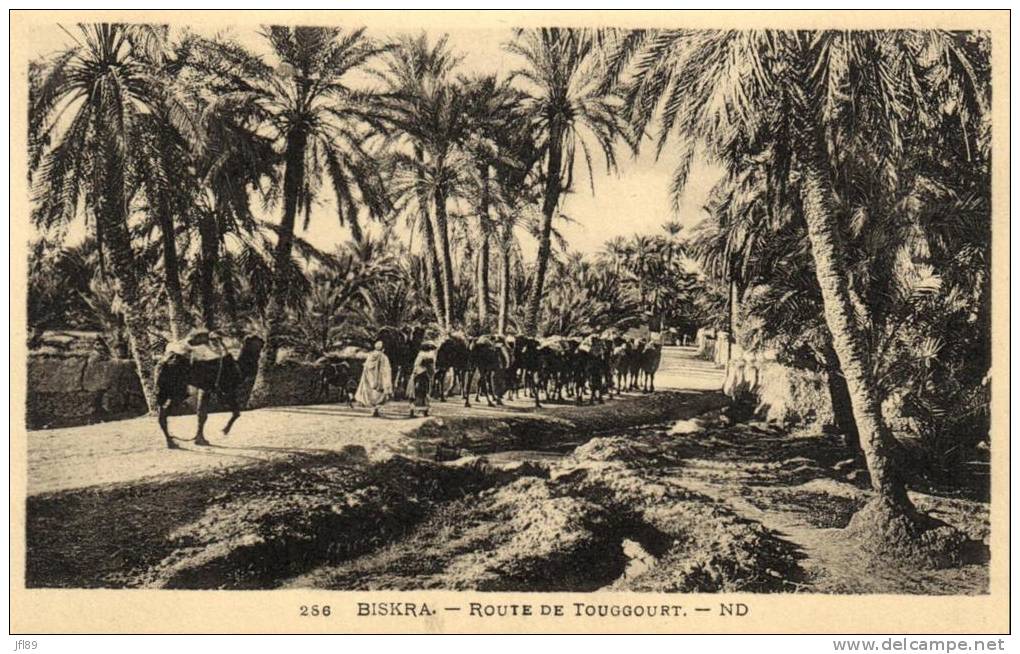 62487  - Maroc    Biskra     Routes de Touggourt