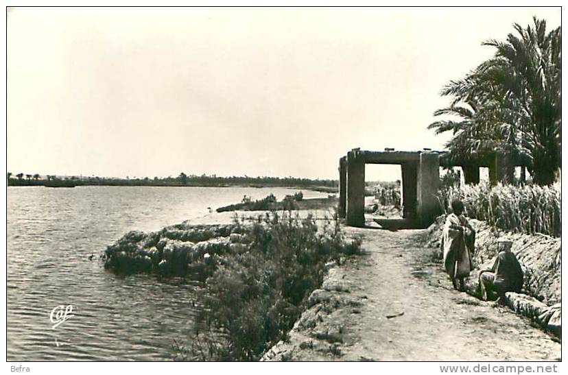 CPSM             Environs de Touggourt    Temacine   Bord du Lac        animée            G-208