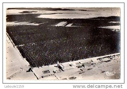 TOUGGOURT CONSTANTINE  