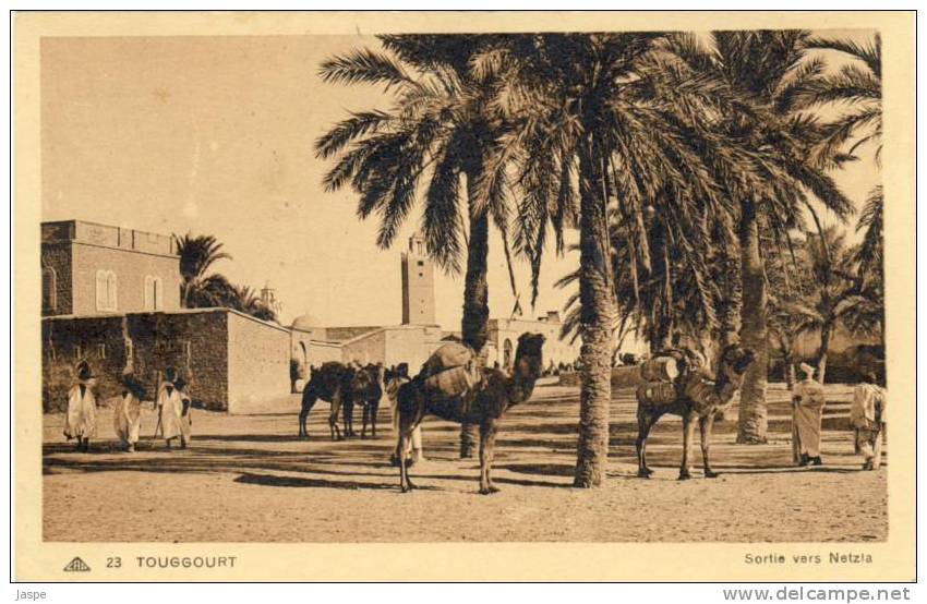 Touggourt.Sortie vers Netzla
