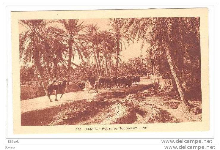 Africa Algeria Alger- Biskra Route de Touggourt , 00-10s