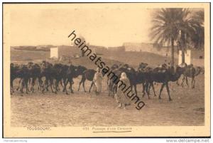 Touggourt - Passage d'une Caravane