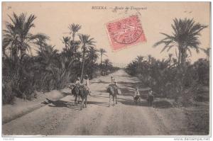 ALGERIE - BISKRA  - la route de Touggourt