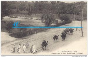 cp Afrique Algérie  scènes et types  arabe caravane sur la route de Biskra à Touggourt Algérien