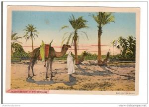 ALGERIE  TOUGGOURT inspiration